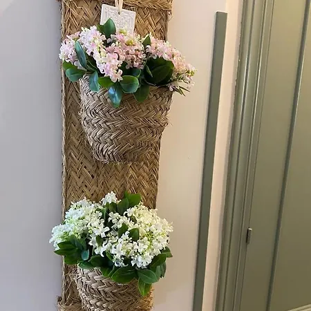 Lägenhet Nenuca Ii, El Paraiso En *